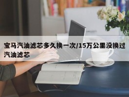 宝马汽油滤芯多久换一次／15万公里没换过汽油滤芯
