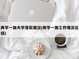 两学一做大学落实情况(两学一做工作情况总结)
