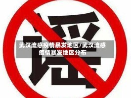 武汉流感疫情暴发地区／武汉流感疫情暴发地区分布