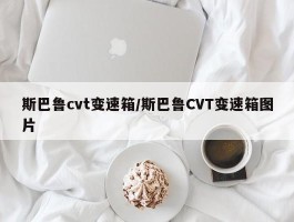 斯巴鲁cvt变速箱／斯巴鲁CVT变速箱图片