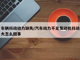 车辆抖动动力缺失／汽车动力不足发动机抖动大怎么回事