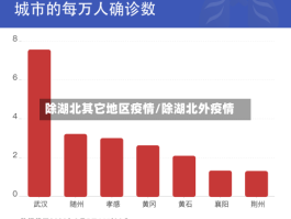 除湖北其它地区疫情／除湖北外疫情